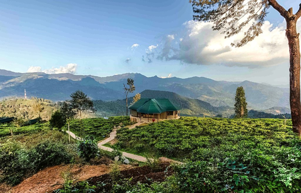 Sri Lanka tea estate